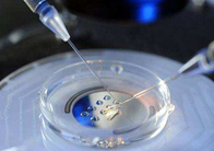 第三代试管婴儿