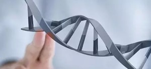 未成熟卵体外成熟培养